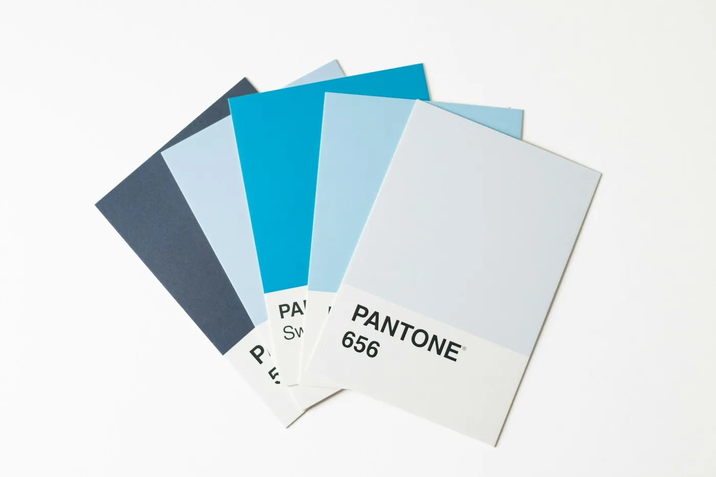 Fanned colour swatch cards in blues and greys, used to choose a brand colour palette